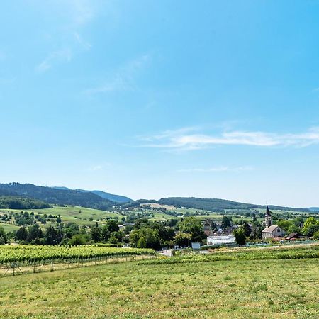 Fewo Im Lenzengarten Daire Sulzburg Dış mekan fotoğraf