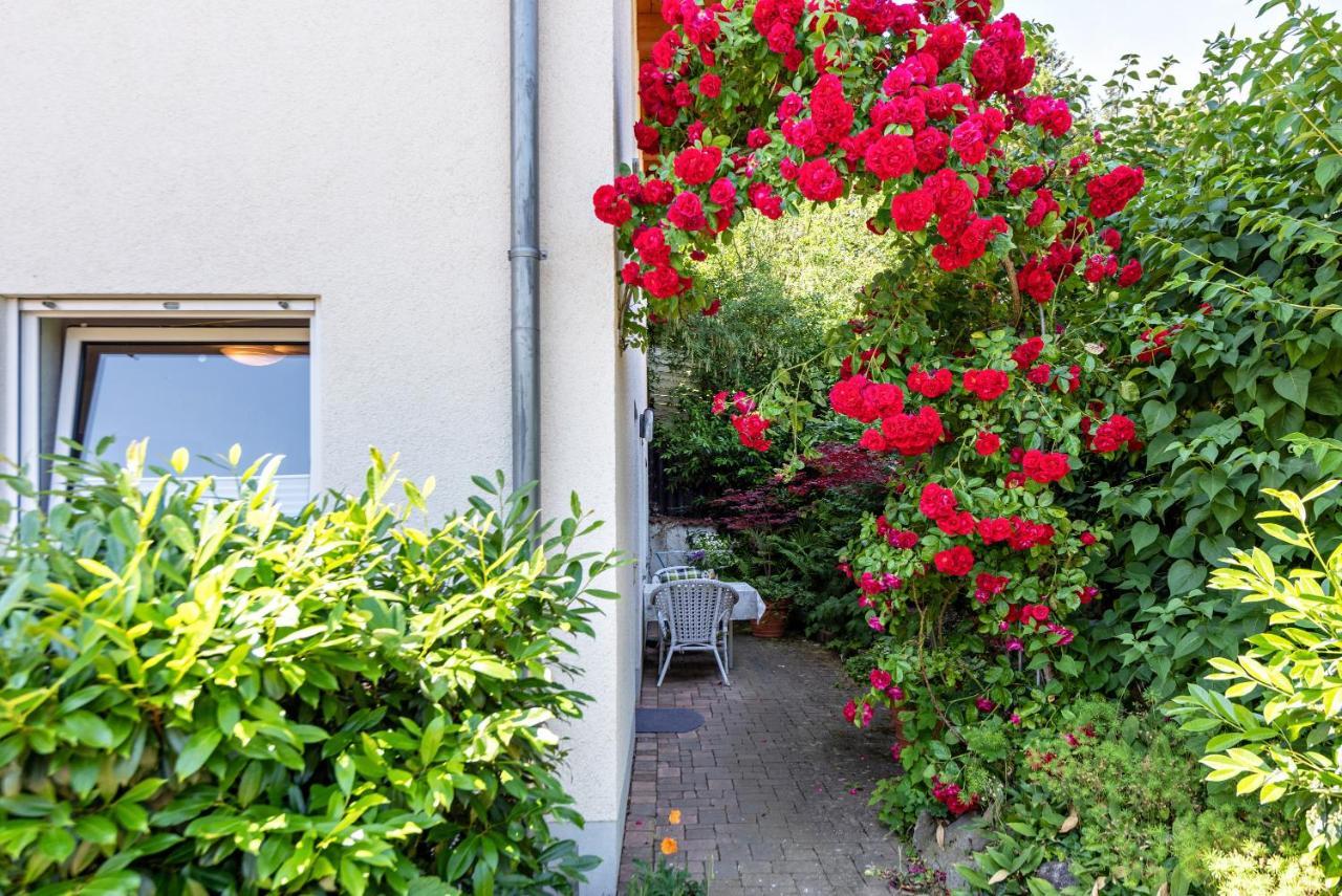 Fewo Im Lenzengarten Daire Sulzburg Dış mekan fotoğraf