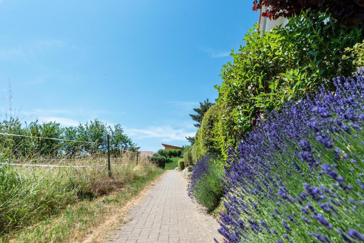 Fewo Im Lenzengarten Daire Sulzburg Dış mekan fotoğraf