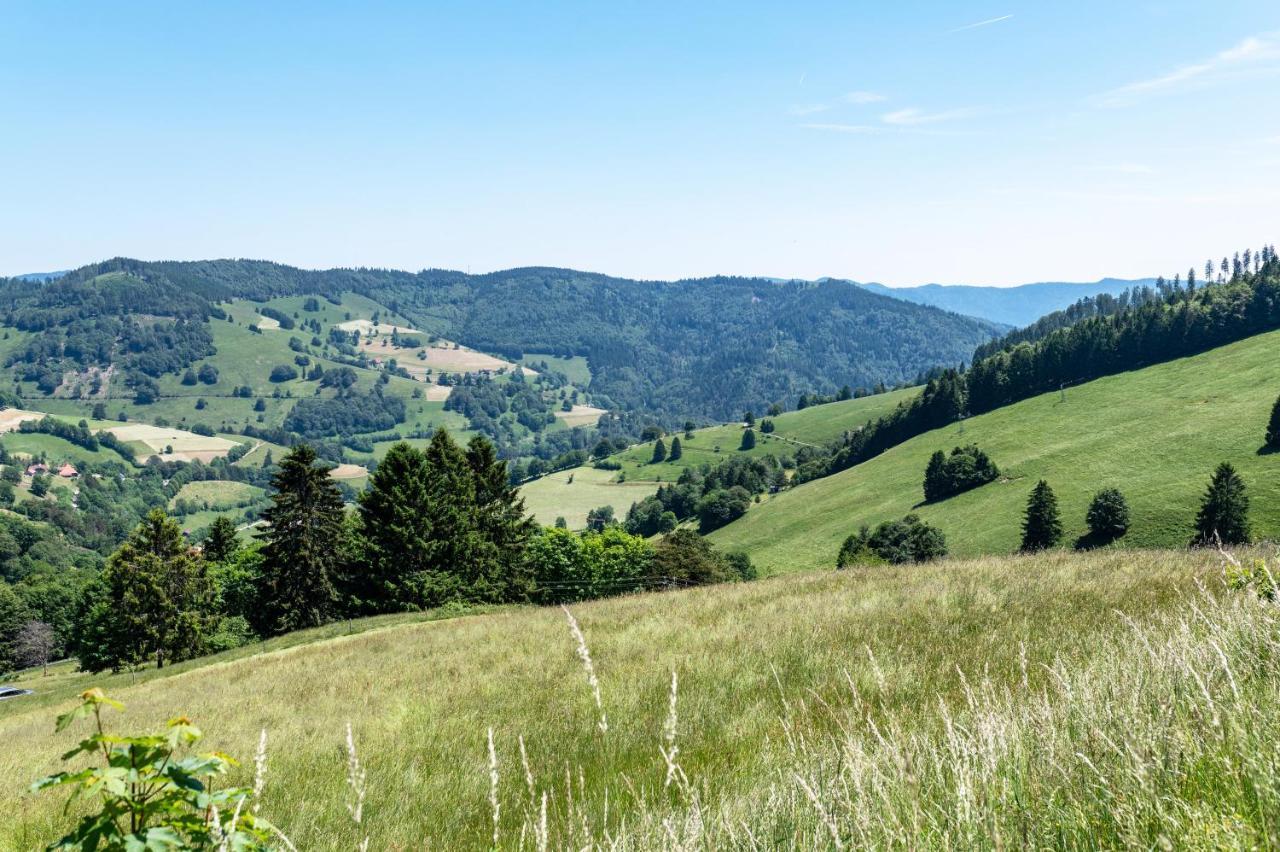 Fewo Im Lenzengarten Daire Sulzburg Dış mekan fotoğraf