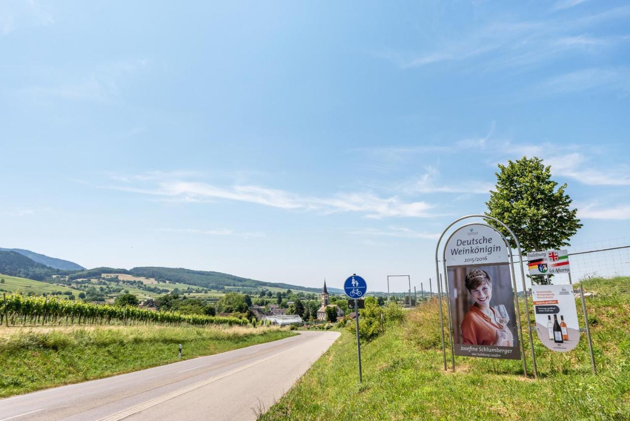 Fewo Im Lenzengarten Daire Sulzburg Dış mekan fotoğraf