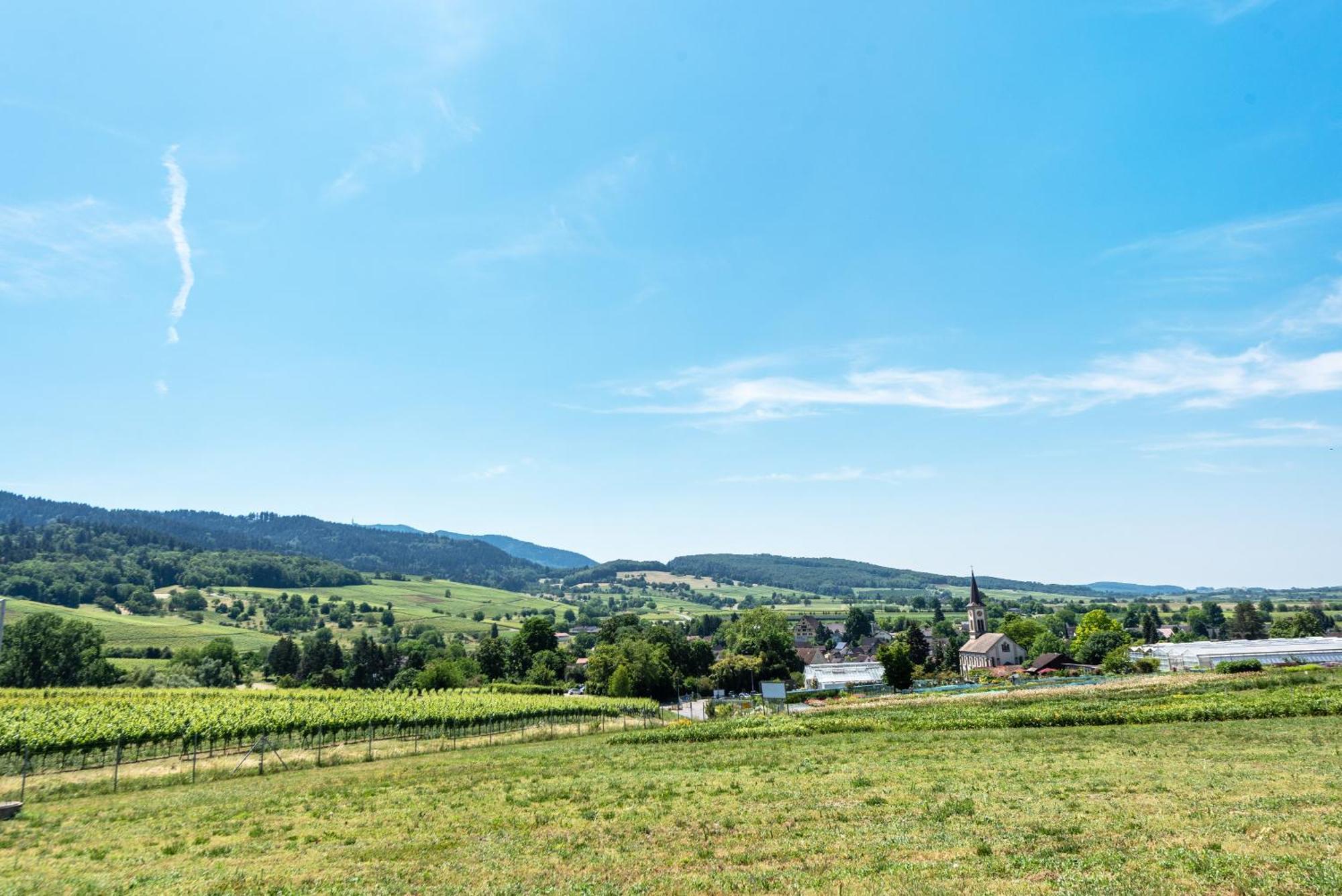Fewo Im Lenzengarten Daire Sulzburg Dış mekan fotoğraf